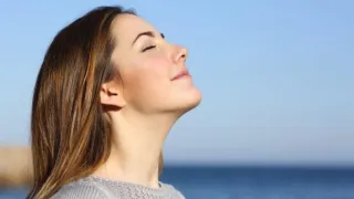 Allergy Program