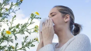 Kicking Allergies