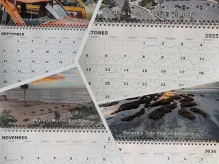 Moonlight Beach Tides and Surf Guide | Ocean Blue Tidelines Calendar