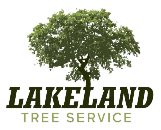 Lakeland Tree Service LLC Earns 5-Star Reputation | Willmar MN’s Trusted Tree Experts
