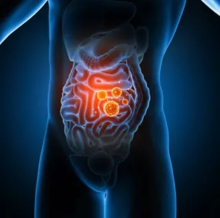 Targeting Autoimmune Inflammation with GLP-1 and GIP Peptides
