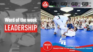 Welcome to Week 1 of the Gracie Barra Fundamentals Curriculum Cycle!