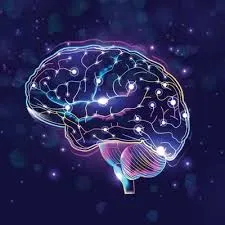 5 Mind-Blowing Brain Facts That Will Change How You See Yourself