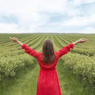 Non-Partisan Civic Involvement