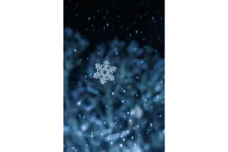 A holiday moment that changed the way one woman dated