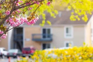 EASY SPRING Home Refresh: Make Your Space Feel Cool, Calm, and Inviting