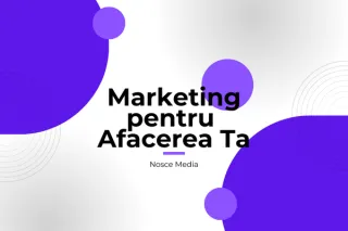 Cum să Folosești Marketingul în Afacerea Ta