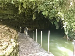 What to Expect When Visiting the Waitomo Glowworm Cave 