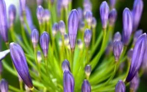 Spring- the eternal reminder of hope renewed