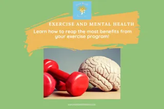 Exercise and Mental Health: Reaping the Benefits of a Healthy Fitness Program