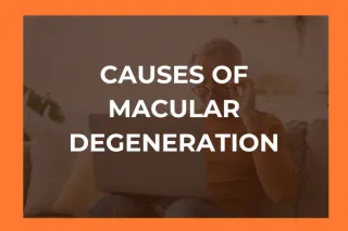 Understanding Age-Related Macular Degeneration