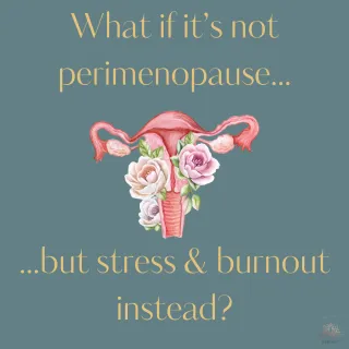 What if it's Not Perimenopause, but Stress & Burnout Instead?
