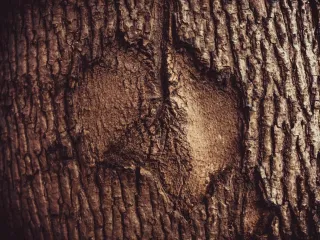 FAQ image