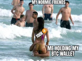 Bitcoin Meme Culture: From Slack Emojis to Mainstream