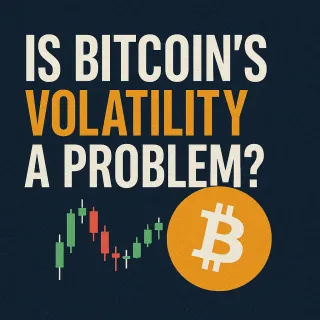Bitcoin Volatility: Bubble or Feature?