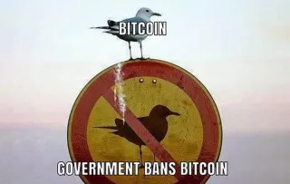 Will Governments Ban Bitcoin? Here’s Why They Can’t (And Won’t)