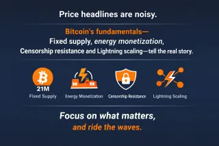 Fundamentals Over FOMO: Why Long-Term Bitcoiners Ignore Price Hype
