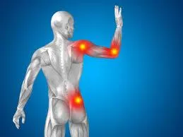 The Hidden Link Between Microcirculation and Inflammation