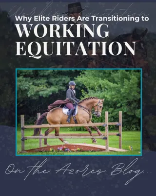 Why Elite Riders Are Transitioning to Working Equitation