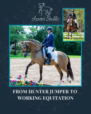 From Hunter Jumper to Working Equitation: Why I’ll Never Look Back