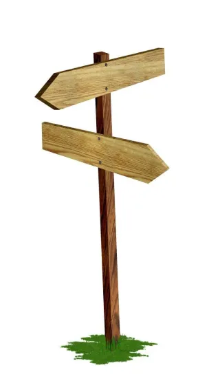 Choices - Palliate, Suppress or Remove?