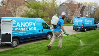 Canopy Lawn Care: Eco-Friendly Franchise Replacing Chemicals