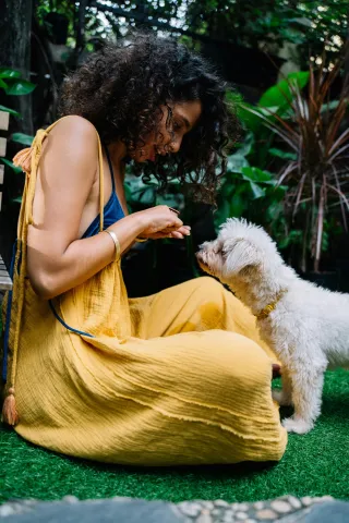 Pets and Wellness: The Surprising Benefits of Having a Four-Legged Friend