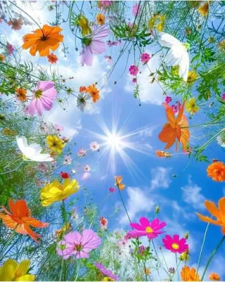 The Imago Effect: How Your Past Shapes Your Present Attraction