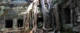Gratis Jahresticket Angkor Wat