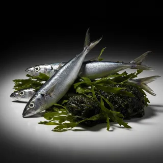 Hoe Jodium écht werkt in de overgang!