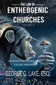 NOTHING BEYOND BELIEF: WHY INCORPORATING BELIEF STATEMENTS INTO YOUR CHURCH’S CORPORATE RECORD MIGHT BE YOUR NEXT BIG REVELATION