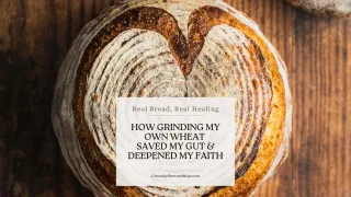 Real Bread, Real Healing: How Grinding My Own Wheat Saved My Gut and Deepened My Faith
