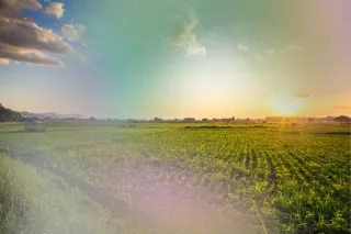 Episode 003: Understanding Food Cultivation: Pesticides, Organic Choices, and God’s Plan for Farming