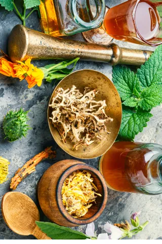 Harnessing the Potential of Social Media to Boost Your Naturopathic Clinic’s Visibility in 2023