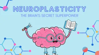 Never to Late to Improve the Brain