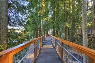 🦁 Wild Times & Redwoods: Why Sequoia Park Zoo in Eureka, CA Is a Must-Visit Adventure