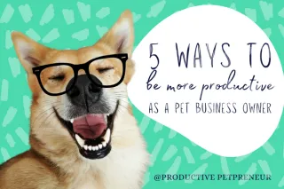 5 ways to be more productive as a pet business owner