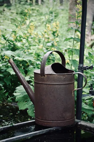 Sustainable Beauty: Crafting a Drought-Resistant Landscape with Water-Wise Gardening