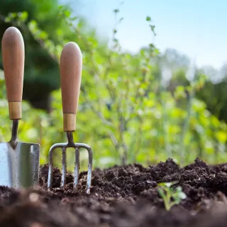 Year-Round Beauty: The Benefits of Seasonal Landscape Maintenance