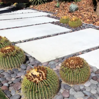 Beyond Grass: Embrace the Beauty of Xeriscaping with Boundaries of Central Florida!