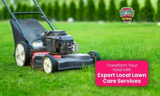 Transform Your Yard with Expert Local Lawn Care Services