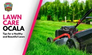 Lawn Care Ocala: Tips for a Healthy and Beautiful Lawn