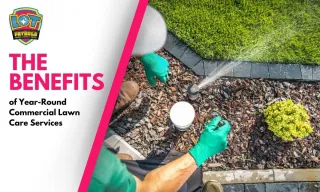 The Benefits of Year-Round Commercial Lawn Care Services
