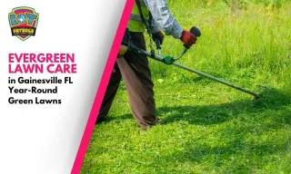 Evergreen Lawn Care in Gainesville FL: Year-Round Green Lawns