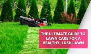 The Ultimate Guide to Lawn Care for a Healthy, Lush Lawn