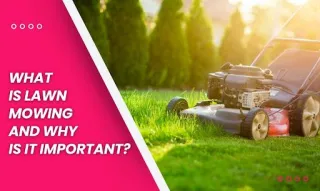What Is Lawn Mowing and Why Is It Important?