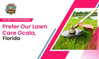 Why 90% of Ocala Residents Prefer Our Lawn Care Ocala, Florida