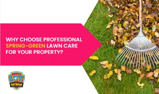 Why Choose Professional Spring-Green Lawn Care for Your Property?
