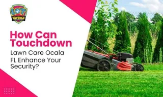 How Can Touchdown Lawn Care Ocala, FL Enhance Your Security?