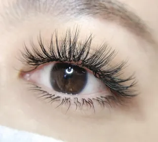 Eyelash Extensions: Everything You Need to Know